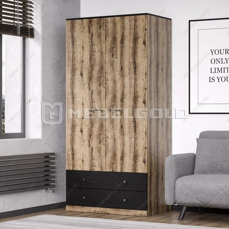 Шкаф 2-створчатый Джаггер 2DG2S | изображение 2