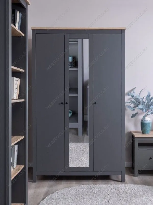 Шкаф распашной Сага, 3 двери, 132х64х215 см, серый/ясень | изображение 5