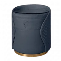 Антрацит/золото