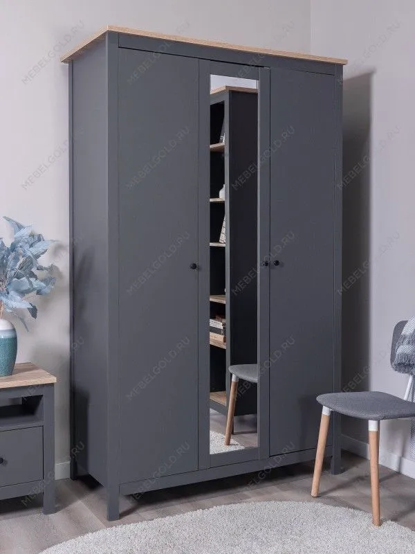 Шкаф распашной Сага, 3 двери, 132х64х215 см, серый/ясень | изображение 1