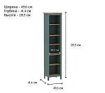 САГА стеллаж 50 темно-бирюзовый/ясень | изображение 3