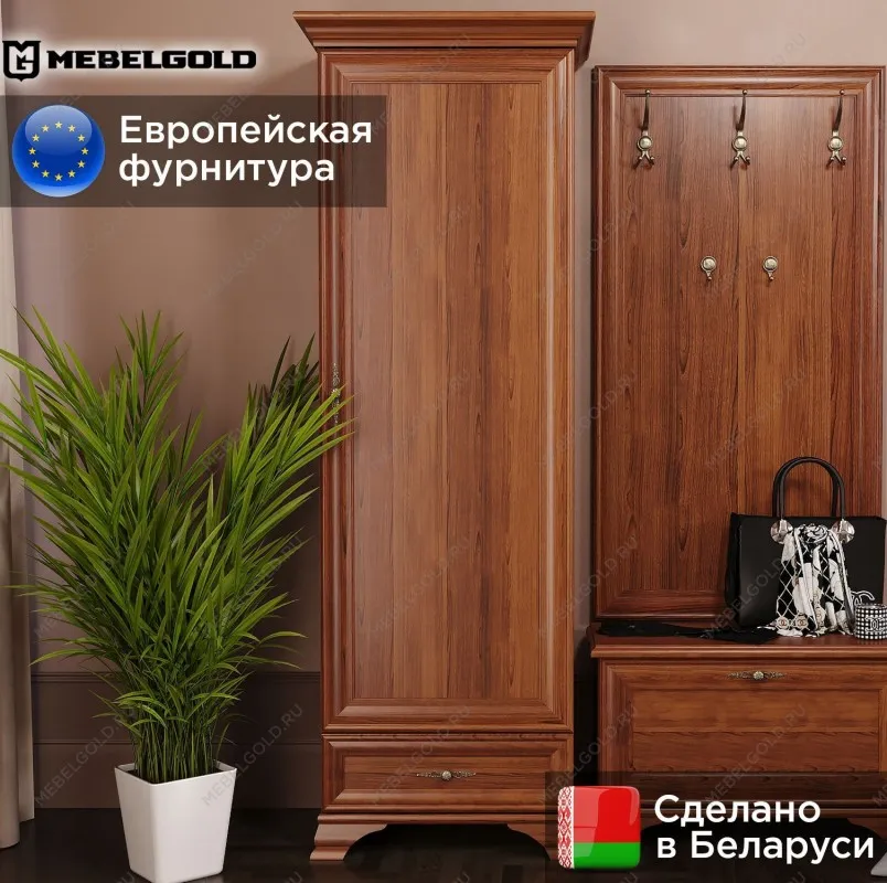 Шкаф Кентаки REG1D1S каштан | изображение 1